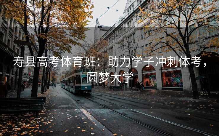 寿县高考体育班：助力学子冲刺体考，圆梦大学