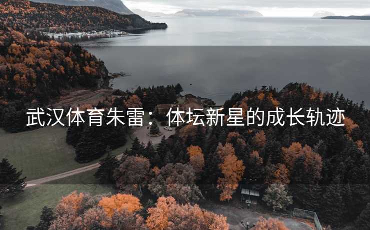 武汉体育朱雷：体坛新星的成长轨迹