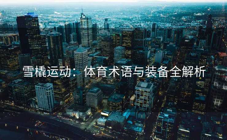 雪橇运动：体育术语与装备全解析